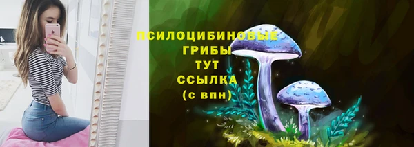 ПСИЛОЦИБИНОВЫЕ ГРИБЫ Абаза