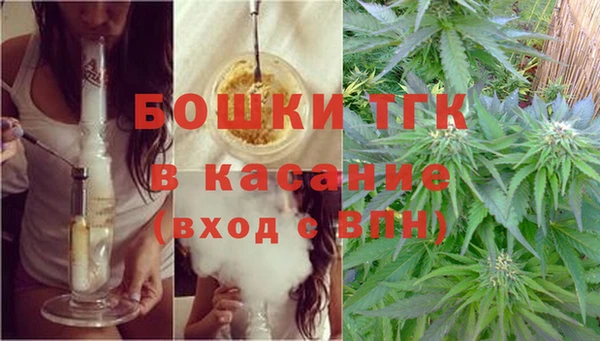 ПСИЛОЦИБИНОВЫЕ ГРИБЫ Абаза