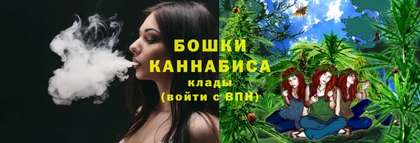 ПСИЛОЦИБИНОВЫЕ ГРИБЫ Абаза