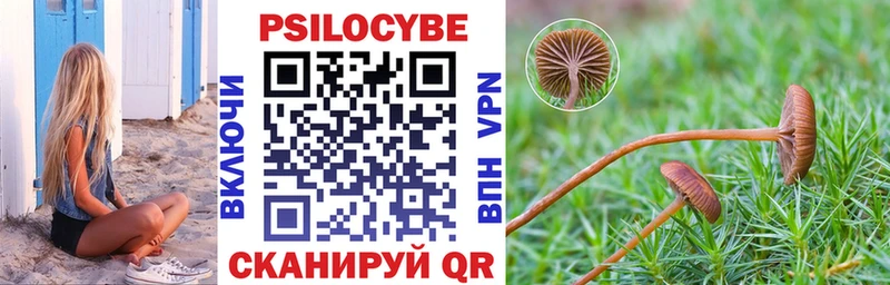 продажа наркотиков Воронеж Псилоцибиновые грибы Magic Shrooms